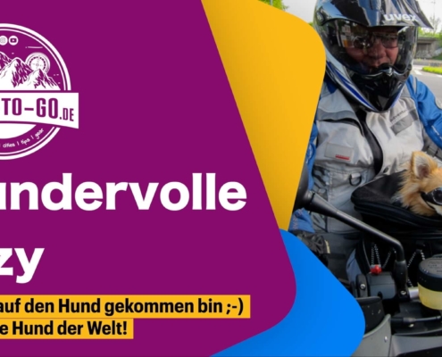 Wohnmobilreisen mit Hund