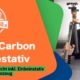 K&F Concept Carbon Reisestativ