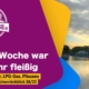 Schrankplissee, Fahrerhaus Plissees, Wechselrichter, LPG-Gas, freie Stellplätze